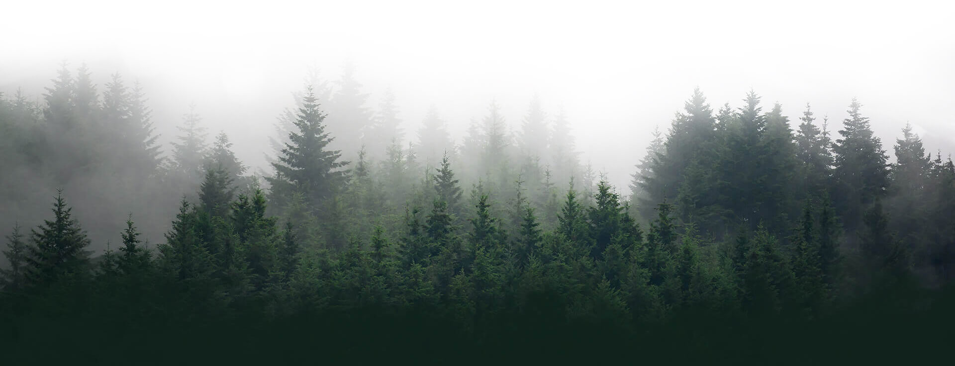 footer-bg
